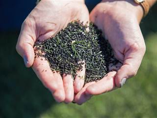 Voters Render Split Decision on Synthetic Turf Playing Fields