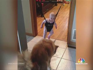 Watch This Dog Teach This Baby How to Jump