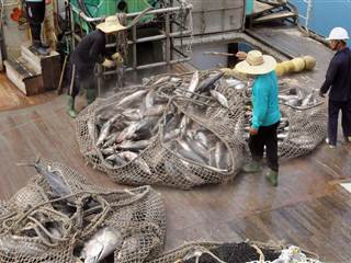 Botched IPO by Chinese Tuna Company Has Fishy Outcome