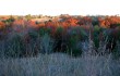 AUTUMN AT TANDY HILLS (all photos courtesy by Don Young)