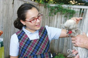 Lola meets Hermione, one of two hens that she and her mom now rent. Lee Chastain