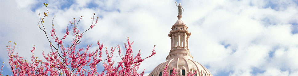 Texas House of Representatives