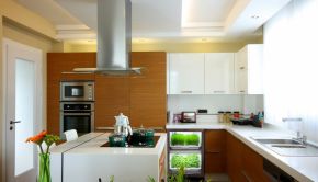 urban cultivator in a residential kitchen