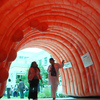 Many people think that colon cancer screening is no walk in the park. This giant inflatable colon on display at the University of Miami Health System campus was intended to help them think otherwise.