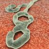 Ebola response: Up to 130 U.S. cases projected by year-end