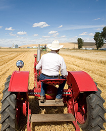 Farmers Forecast