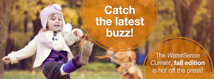 Catch the latest buzz! The WaterSense Current, fall edition is hot off the press!