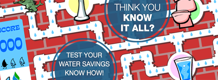 Test Your WaterSense Knowledge!