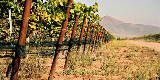 $109 -- Santa Maria Wine Country Inn w/Breakfast & Tastings