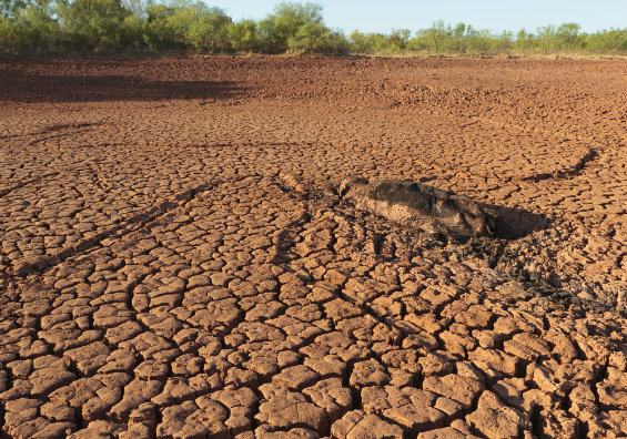 DroughtMoreCrackedDirt.jpg