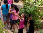 Texas Discovery Garden’s Butterfly House Turns 5!