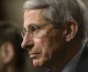 Dr. Anthony Fauci, director of the National Institutes of Health's National Institute of Allergy and Infectious Diseases, listens during a hearing the Senate Appropriations Committee on Capitol Hill on Nov. 12, 2014 in Washington, D.C. (credit: BRENDAN SMIALOWSKI/AFP/Getty Images)