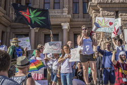 Hundreds of participants in Austin joined the annual Worldwide Marijuana March to the Capitol for cannabis reform.