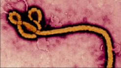 Texas Ebola Task Force Recommends 4 Risk Levels