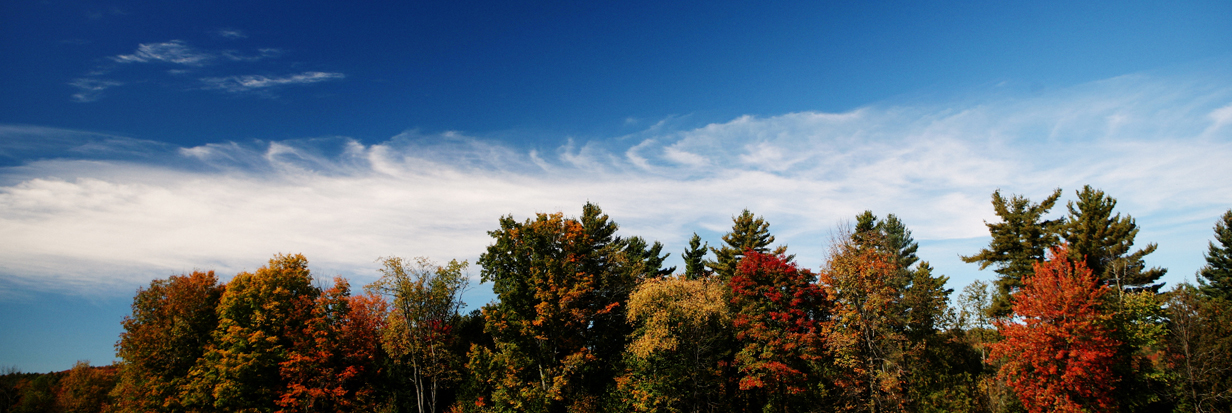 Thank you for all that you do to protect the environment. Victories for carbon reduction and protection of clean air wouldn&#039;t happen without all that you do. Send a message of thanks to President Obama.