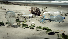 pollution on a Malaysian beach