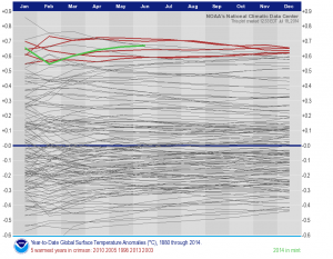 This graph shows average global year-to-date temperatures fro every year since 1880.The crimson lines represent years 2013, 2010, 2005, 2003 and 1998; the green line is 2014. 