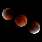 Set Your Alarm for the Early Morning Total Lunar Eclipse on October 8