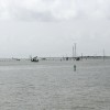 Texas leases submerged coastal land for oil & gas wells and also wildlife projects