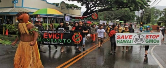 GMO-protest-in-Hawaii-Photo-Mana-Photo-Hawaii