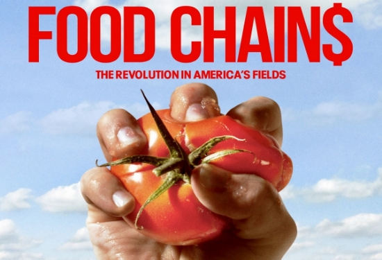 food_chains.jpg