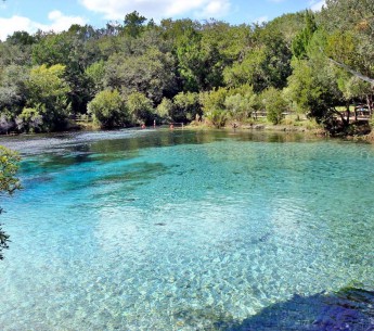 Silver Glen Springs in the Ocala National Forest, Florida 