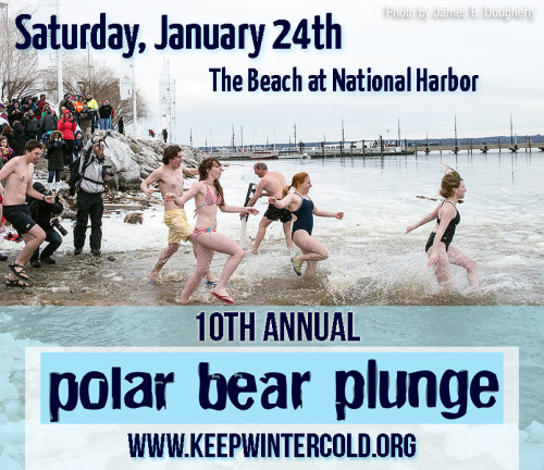 Plunge Save the Date 2015_v2_edited-1