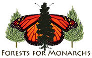 Forests for Monarchs