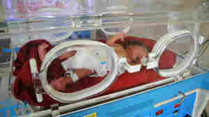 Newborn in an incubator at Greytown Hospital in South Africa in 2009.