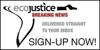 Get Ecojustice news delivered straight to your inbox