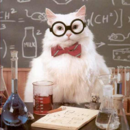 science cat