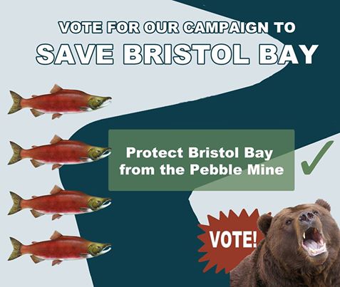 Our Bristol Bay has been nominated for a BENNY Award! 

BENNY Awards celebrate activists fighting corporate abuse and changing corporate behavior. When mining giants Anglo American and Rio Tinto withdrew from the Pebble mine we did just that.

Help us win national recognition for this critical fight to protect wild Alaskan salmon by voting now: http://bit.ly/1oZrnKi