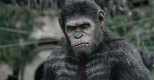 Film Review Dawn of the Planet of the Apes