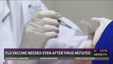 The flu vaccine is needed after the flu virus has mutated.