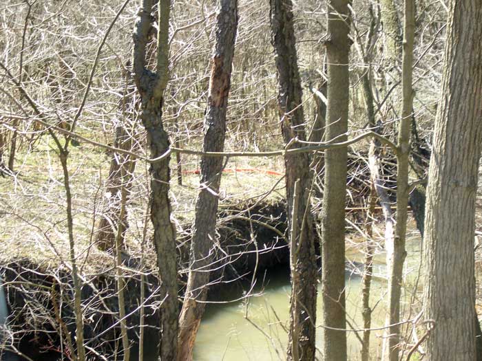 Orange pipe running into a small stream near Westland, Pennsylvania