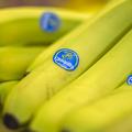 Cutrale-Safra extends bid to buy Chiquita shares, take it private