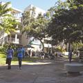 ​More University of Hawaii freshmen taking 15-credit semesters