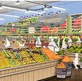 Fresh Thyme grocery works with developer for St. Louis Park store
