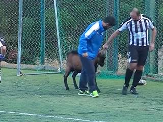 Greek Soccer Match Sees Goal Line Clearance With a Difference