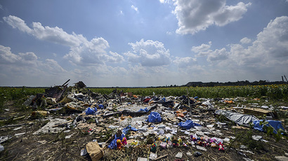 A photo taken on July 23, 2014 shows the crash site of the downed Malaysia Airlines flight MH17, in a field near the village of Grabove, in the Donetsk region. (AFP Photo/Bulent Kilic)