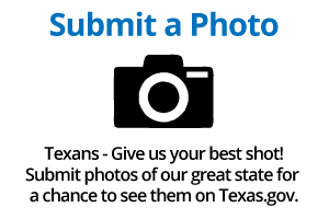 Submit a photo