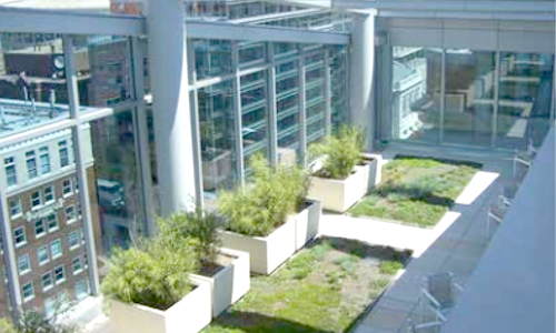 This commercial office building in Washington DC incorporates a green roof, a cistern, plantings that maximize the “curb appeal” of the façade, and reuse of captured rainwater for landscape irrigation—achieving zero stormwater runoff from a 2-year storm or less. More information is available here. Photo credit: Timmons Group, Richmond, VA