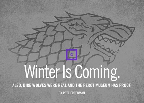 Winter Is Coming.