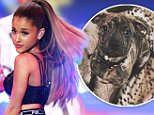 Strict embargo, not to be used before 21:00 GMT 02 Dec 2014 - Editorial Use Only, No Merchandising.. Mandatory Credit: Photo by David Fisher/REX (4273353u).. Ariana Grande performing.. Victoria's Secret Fashion Show, London, Britain - 02 Dec 2014.. ..