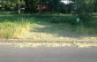 DON YOUNG WAS SURPRISED TO FIND A STRANGER WACKING DOWN HIS FRONT YARD WILDLIFE HABITAT EARLIER THIS WEEK.