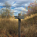 Prairie Grass Trail (11)