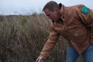 Jon Hayes, Texas Parks and Wildlife Department, in a prairie restored with native grasses