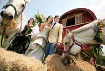 Weddings that Wow / by The Dallas Morning News