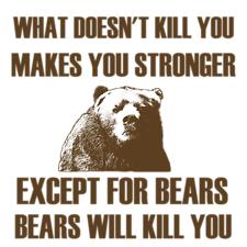 Bears Will Kill You