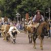 Fort Worth Council creates TIF that includes the Stockyards